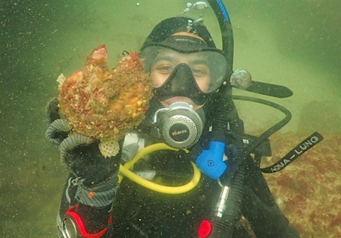 Diver under water