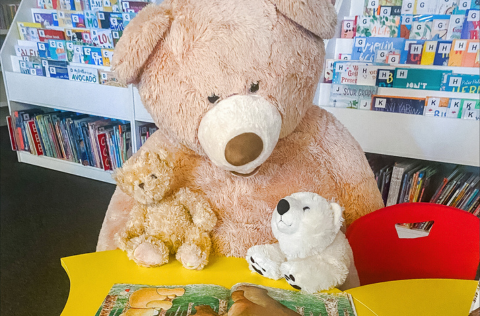 TeddyBearStoryTime.png