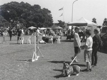 Pets Day at Lyne Park, 2001. Woollahra History and Heritage Society, Bruce Crosson. Woollahra Libraries Digital Archive, pf004878.