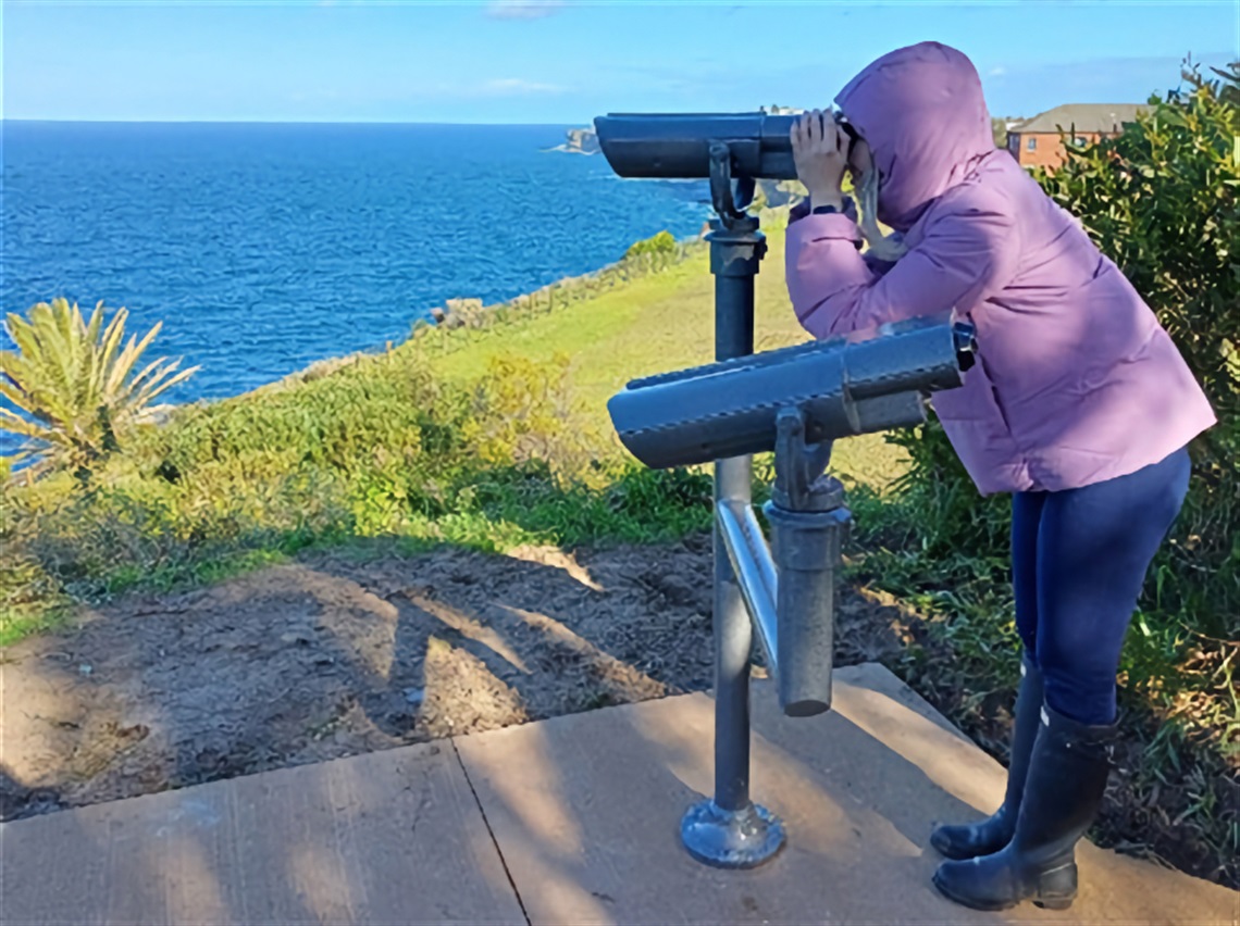 binoculars-view.jpg