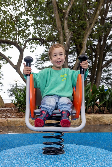 Lyne Park Playground