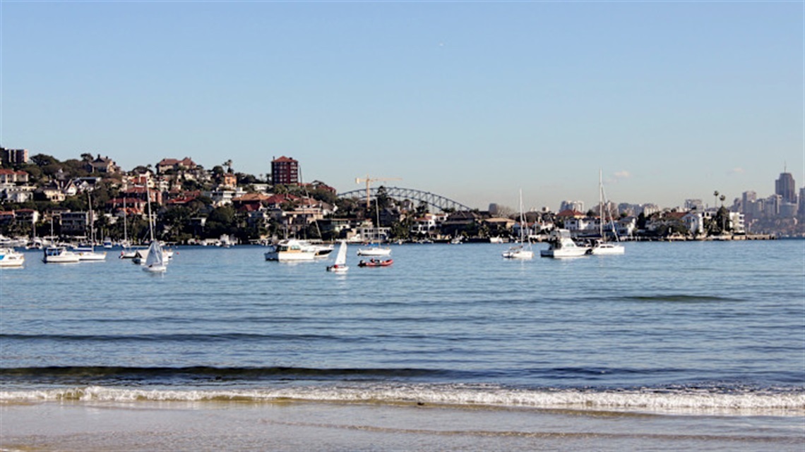 rose bay foreshore2.jpg